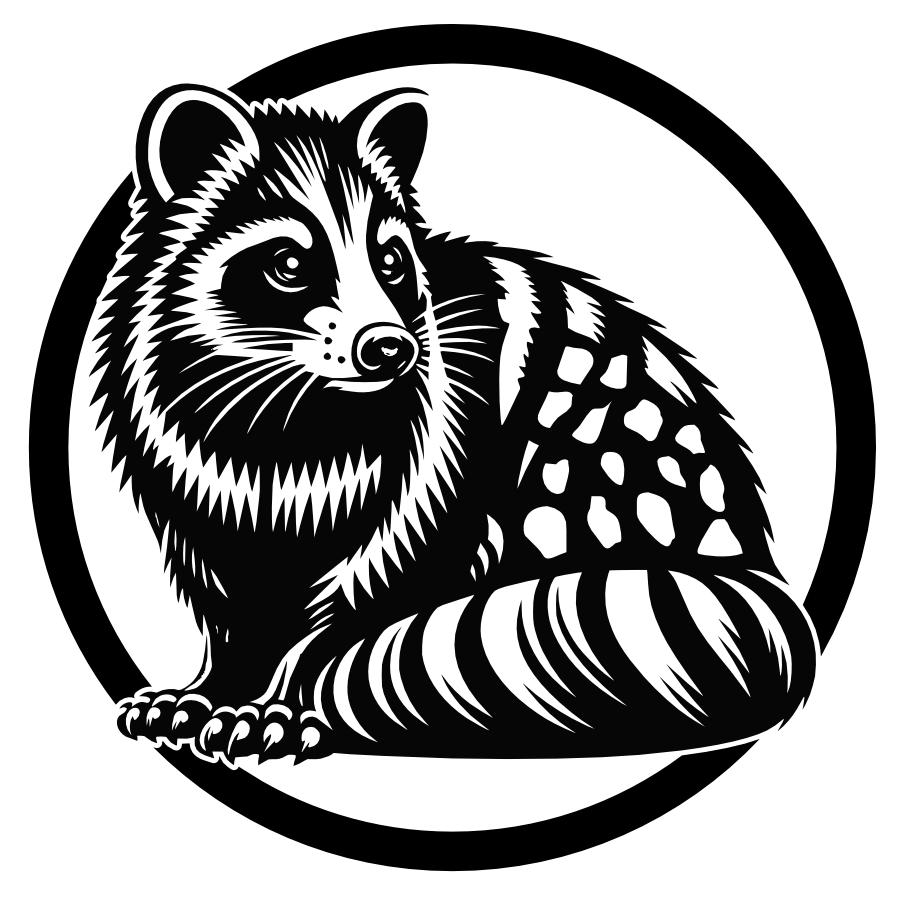 Civetkat