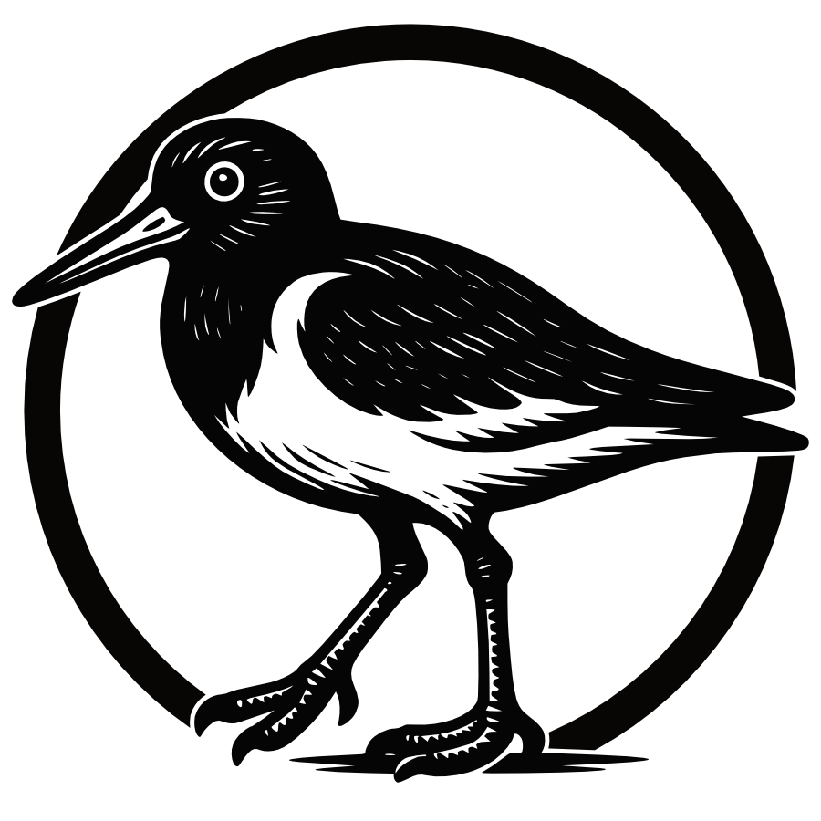 Scholekster