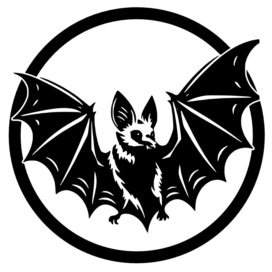 Vleermuis